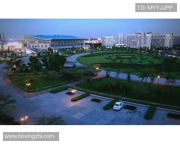 杭州排球队的奋斗与荣耀：城市联赛中的崛起之路与未来展望