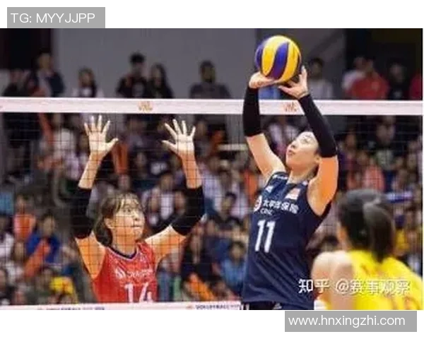 杭州排球队转换之道：深度解析排球战术与团队协作的完美结合