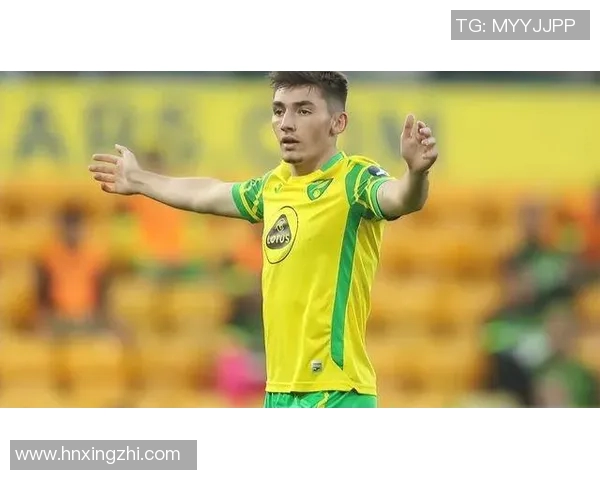 诺维奇主场迎战卡迪夫全力争胜期待精彩对决