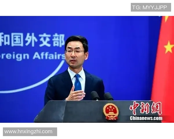 赖斯的外交智慧与全球政治格局的深刻影响分析